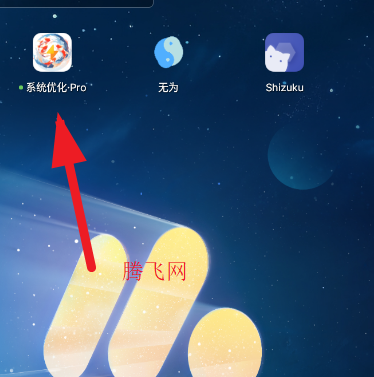 VIVOϵyproٷ