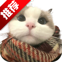ZCappֻv6.6.6 °
