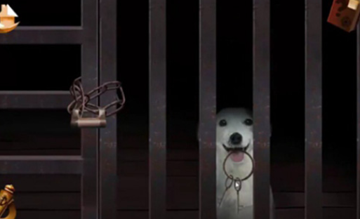 密室逃脱绝境系列2海盗船手机版 密室逃脱绝境系列2海盗船手机版