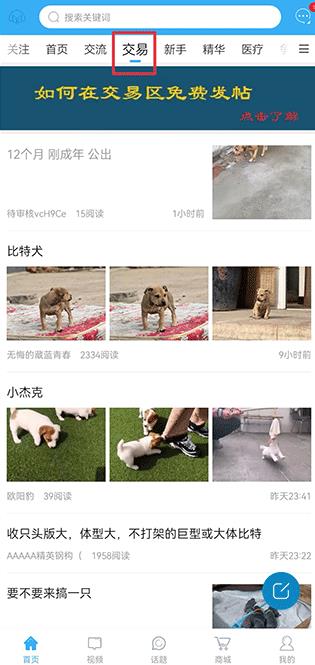 猛犬俱乐部官方版 猛犬俱乐部官方版