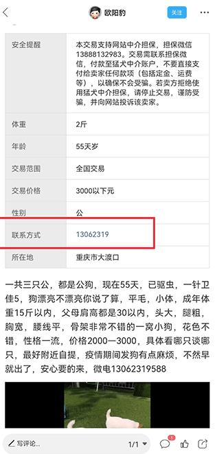 猛犬俱乐部官方版 猛犬俱乐部官方版