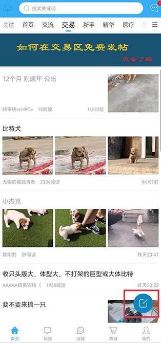 猛犬俱乐部官方版 猛犬俱乐部官方版