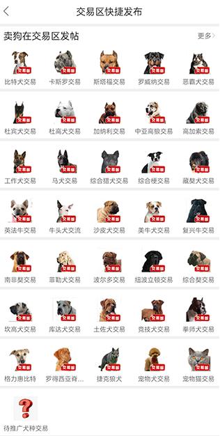 猛犬俱乐部官方版 猛犬俱乐部官方版
