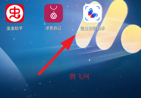 昆虫识别助手app官方版 昆虫识别助手app官方版