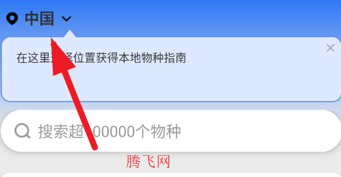 昆虫识别助手app官方版 昆虫识别助手app官方版