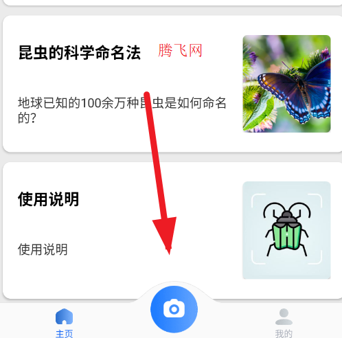 昆虫识别助手app官方版 昆虫识别助手app官方版