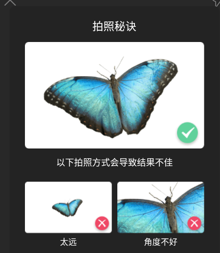 昆虫识别助手app官方版 昆虫识别助手app官方版