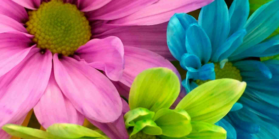 跃动壁纸app最新版 跃动壁纸app最新版