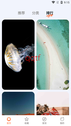 跃动壁纸app最新版 跃动壁纸app最新版