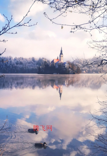 ��Ϊ��־����app�ֻ���