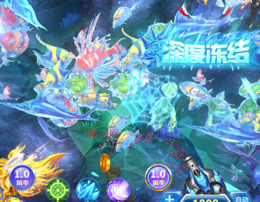 ���˽ֻ����������