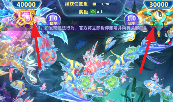 ���˽ֻ����������