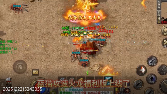 ���ٴ�����è���ٻ���������