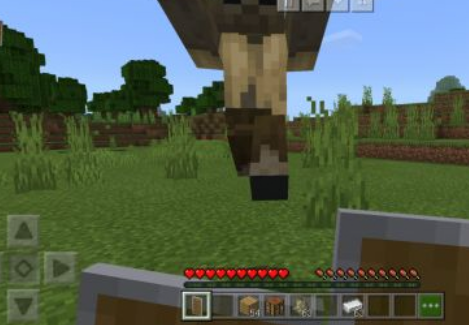 �ҵ�����ƻ����