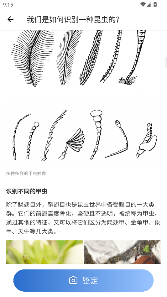 昆虫识别助手app官方版v2.9.0 最新版