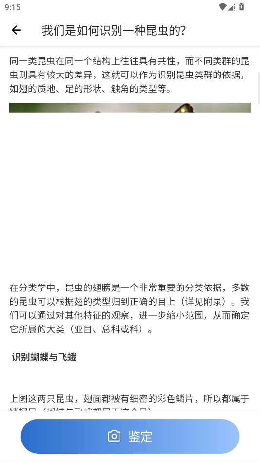 昆虫识别助手app官方版v2.9.0 最新版