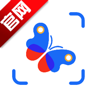 ����ʶ������app�ٷ���v2.9.0 ���°�