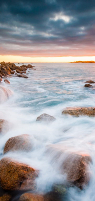 ��Ϊ��־����app�ֻ���v13.1.11.300 ���°�