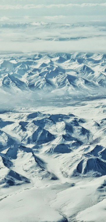 ��Ϊ��־����app�ֻ���v13.1.11.300 ���°�