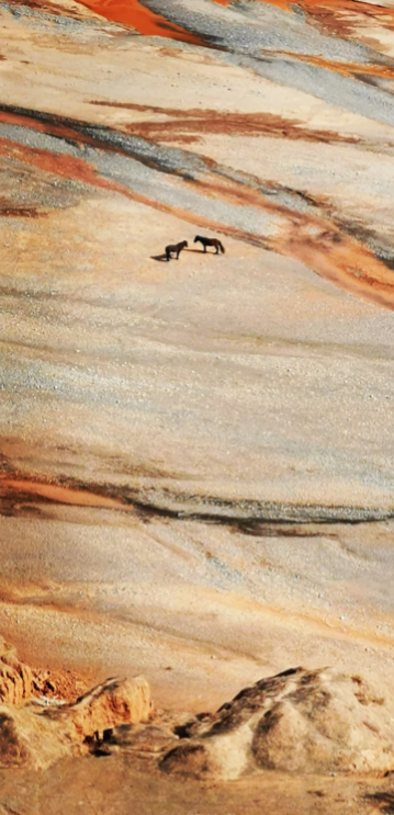 ��Ϊ��־����app�ֻ���v13.1.11.300 ���°�