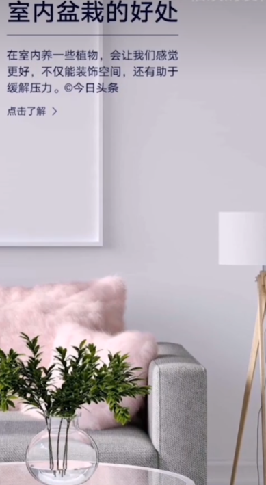 ��ҫ��־����app�ֻ���(��ħ������)v20.0.9.301 ���°�