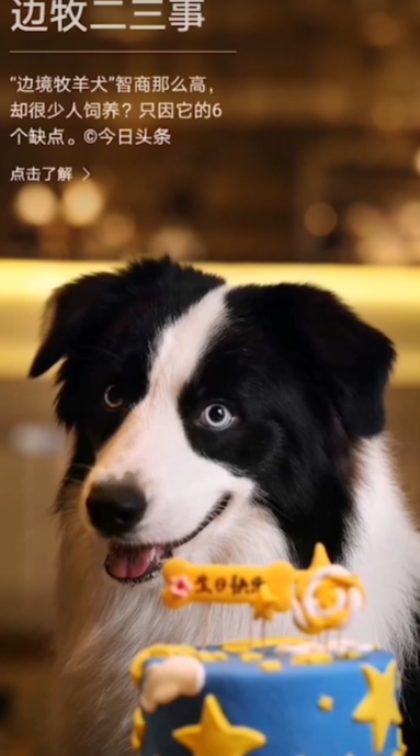 ��ҫ��־����app�ֻ���(��ħ������)v20.0.9.301 ���°�