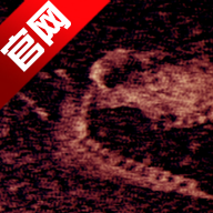 �������ιٷ���v1.10 ���°�