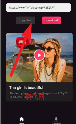 TikTok���������°�app