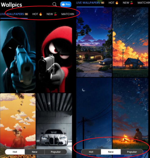 Wallpics��ֽapp�ֻ���