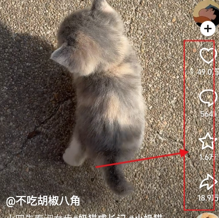 随变app官方版 随变app官方版