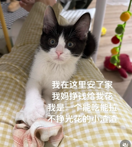 随变app官方版 随变app官方版