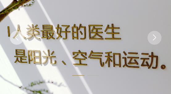 �ճ�app���°�