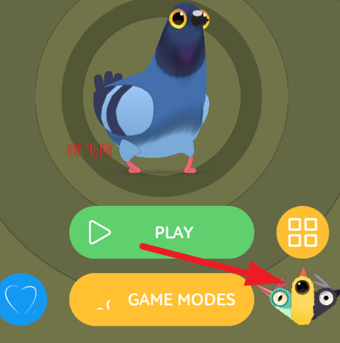 ���ĸ���ȫƤ����Pigeon Pop