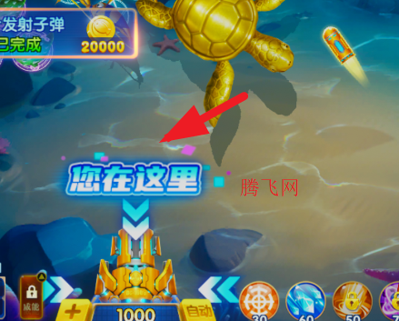 ���ڲ���2���Ѱ�