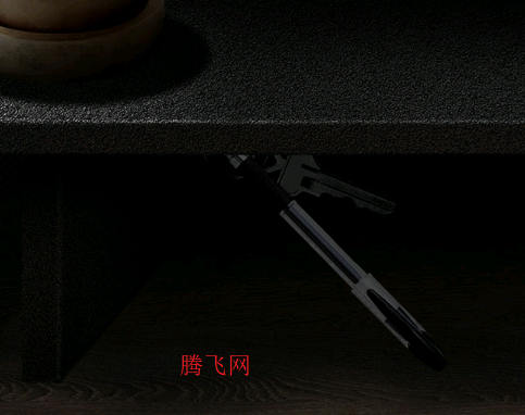 ��Թ�ֻ���