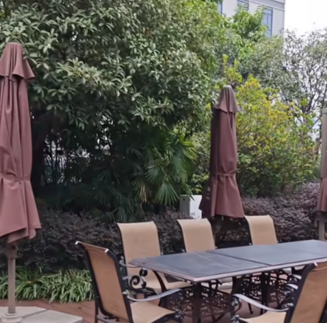 ��ҫ���app�ٷ���