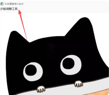 Zepp健康管理平台手机版 Zepp健康管理平台手机版