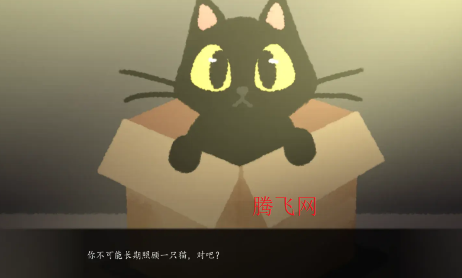 �����ֻè�ؼ���Ϸ������Don Not Take This Cat Home