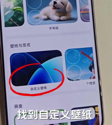 С�ױ���app�ٷ���