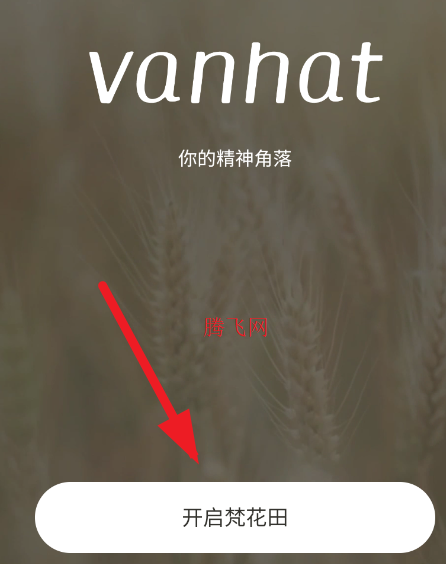 ����APP���������İ�����