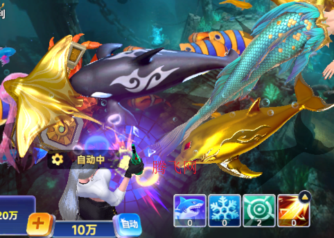 ����籩�߱�������