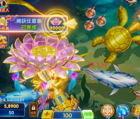 ���㺣�������