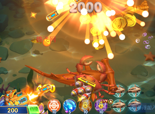 ���㺣�������