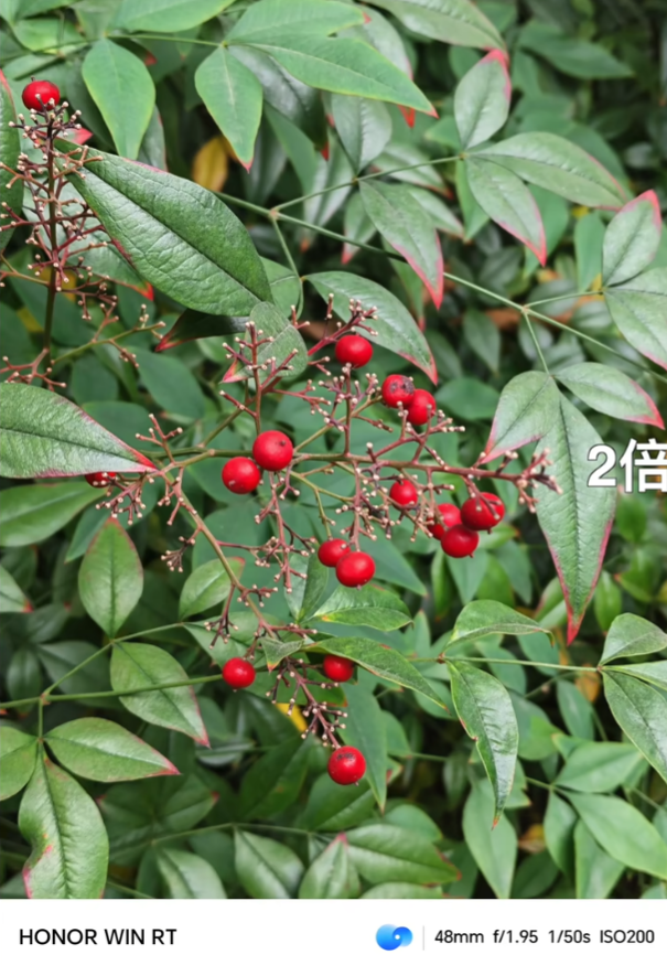 ��ҫ���app�ٷ���v15.0.0.760 ���°�