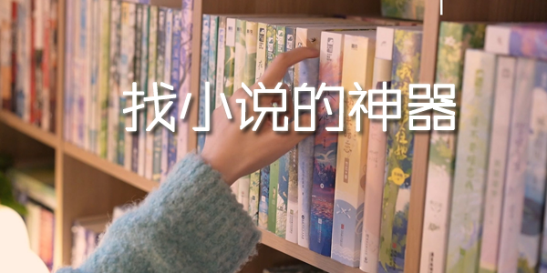 ��С˵������