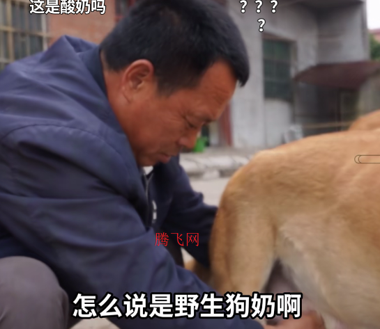 MyTVB�ٷ���app
