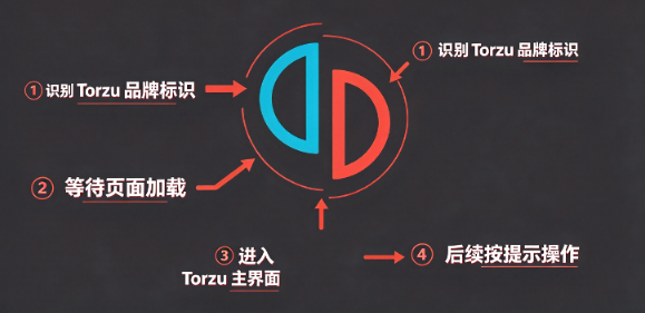 Torzu模拟器稳定版 Torzu模拟器稳定版