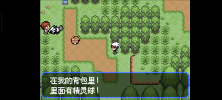 口袋妖怪夜之戒深渊之行手机版 口袋妖怪夜之戒深渊之行手机版