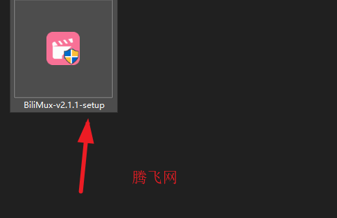 BiliMux���԰�