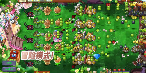 PVZ���������°汾